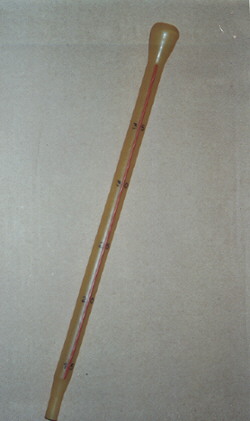 [PHOTO 6]