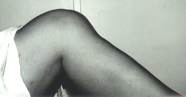 [PHOTO 22]