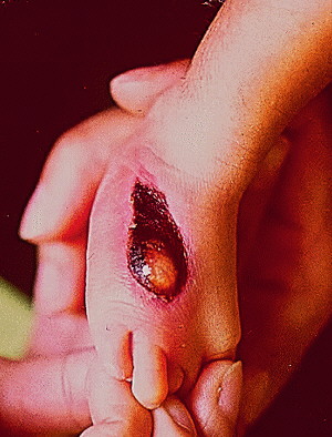 [Photo 2]